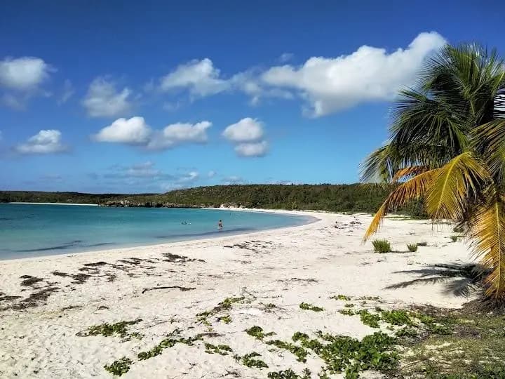 Caracas Beach