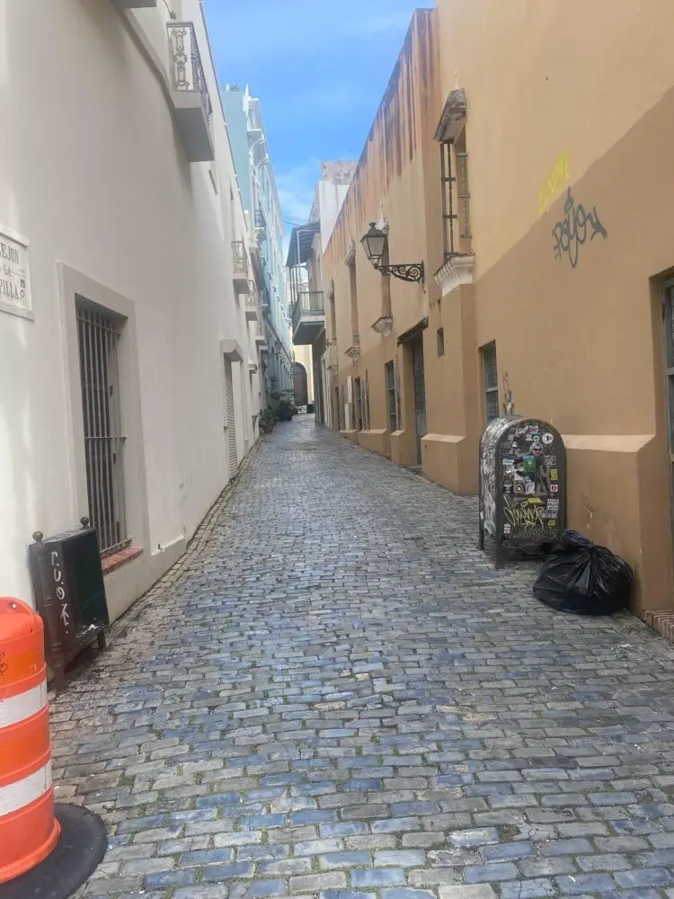 Casa de la Familia Puertorriqueña del Siglo XIX