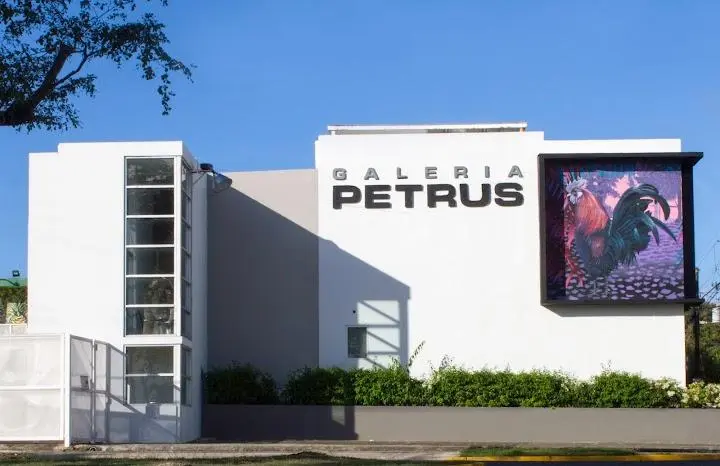 Galeria Petrus