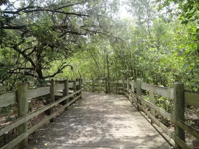 Parque Lineal de Loíza