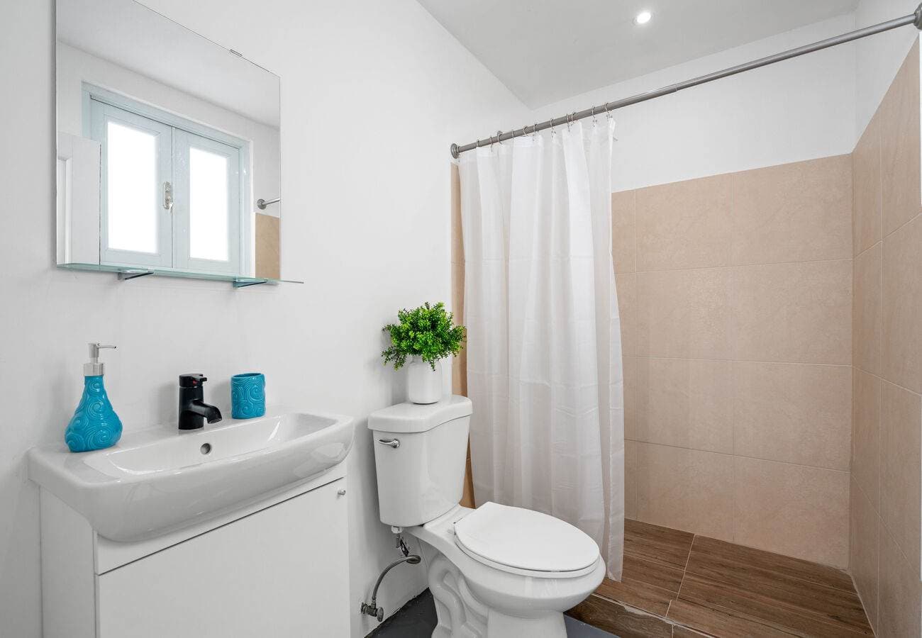 Renovated bathroom 1 with shower