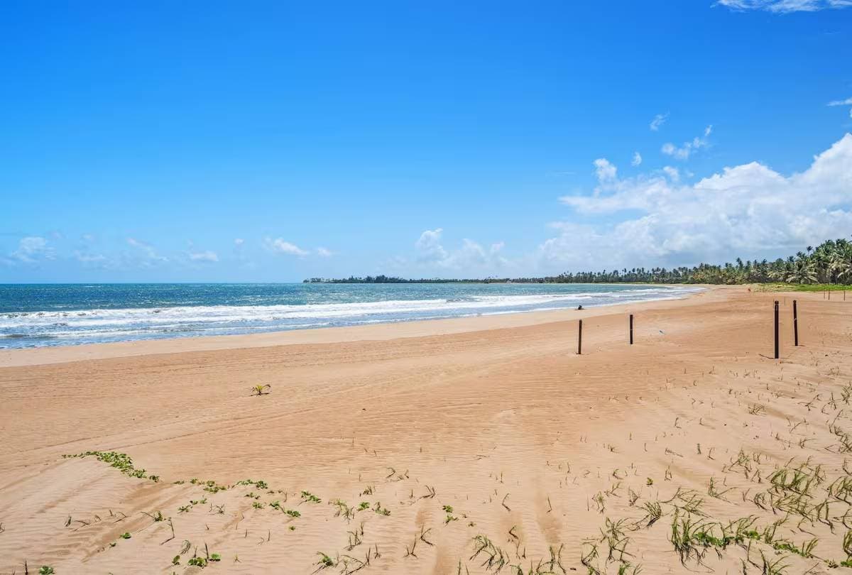 Beachfront | Pool & Golf Course Vistas · photo 21
