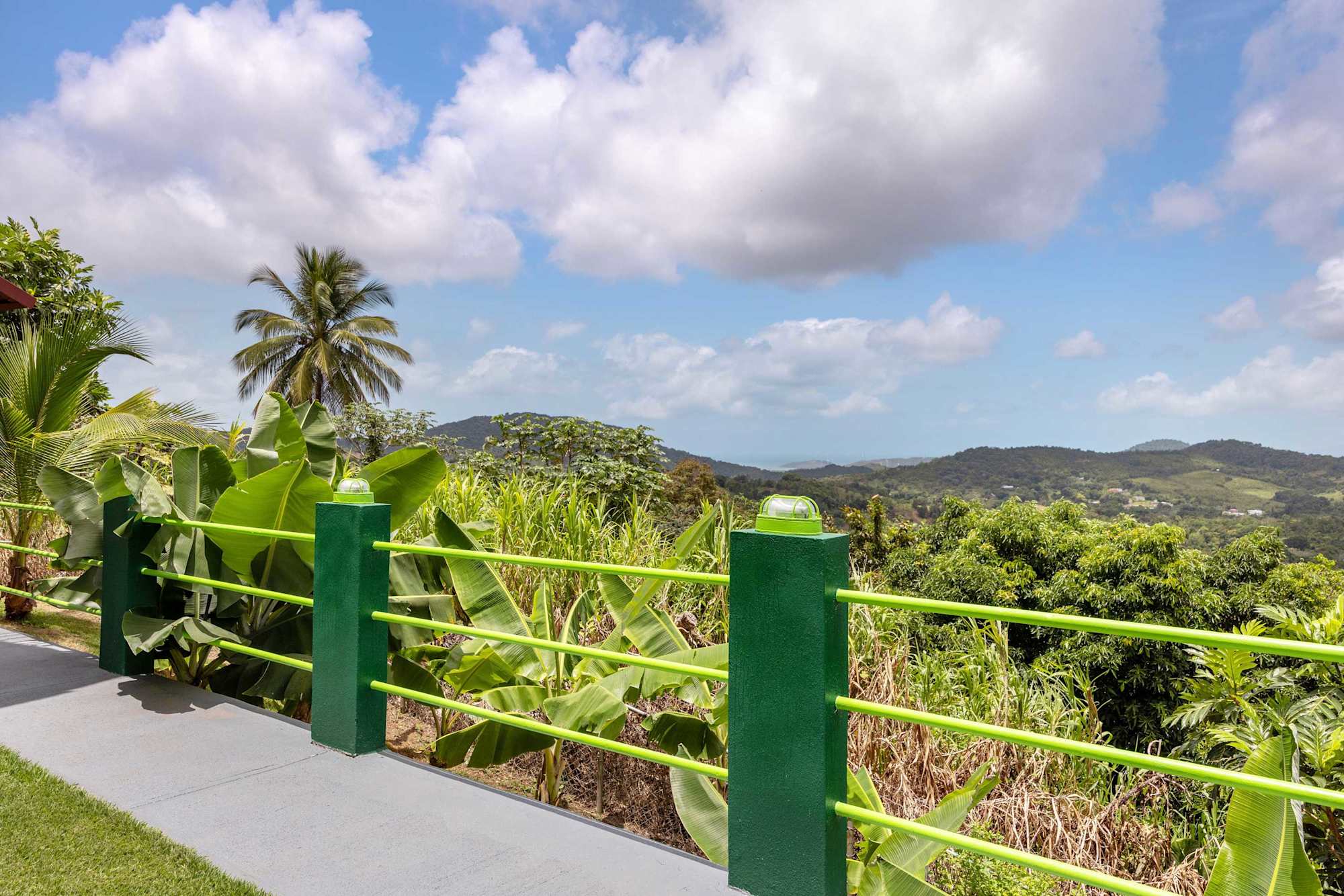 Ceiba | Alquiler cerca de El Yunque · foto 30