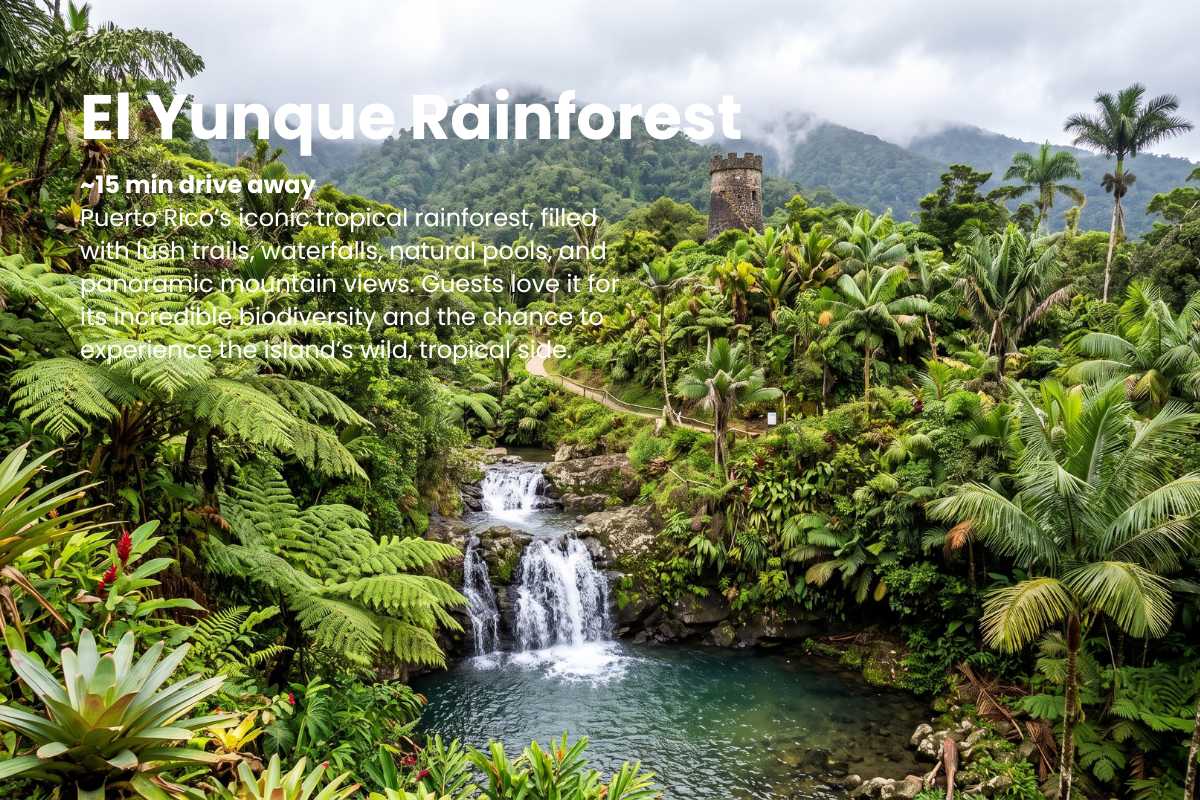Playa del Yunque | Vista a la montaña | Cocina completa · foto 10