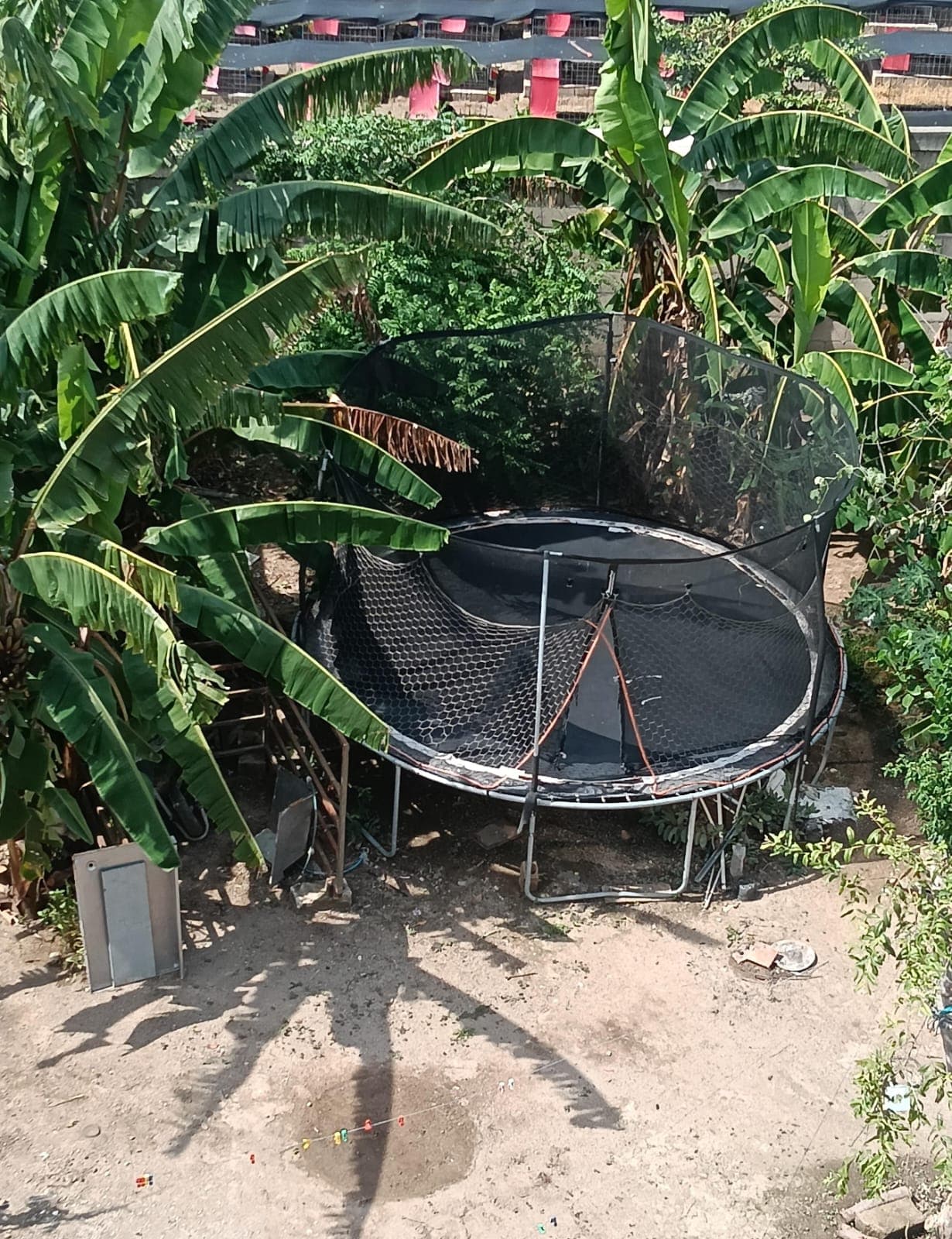 Garden Terrace | Trampoline | 15 Min Beach · photo 18