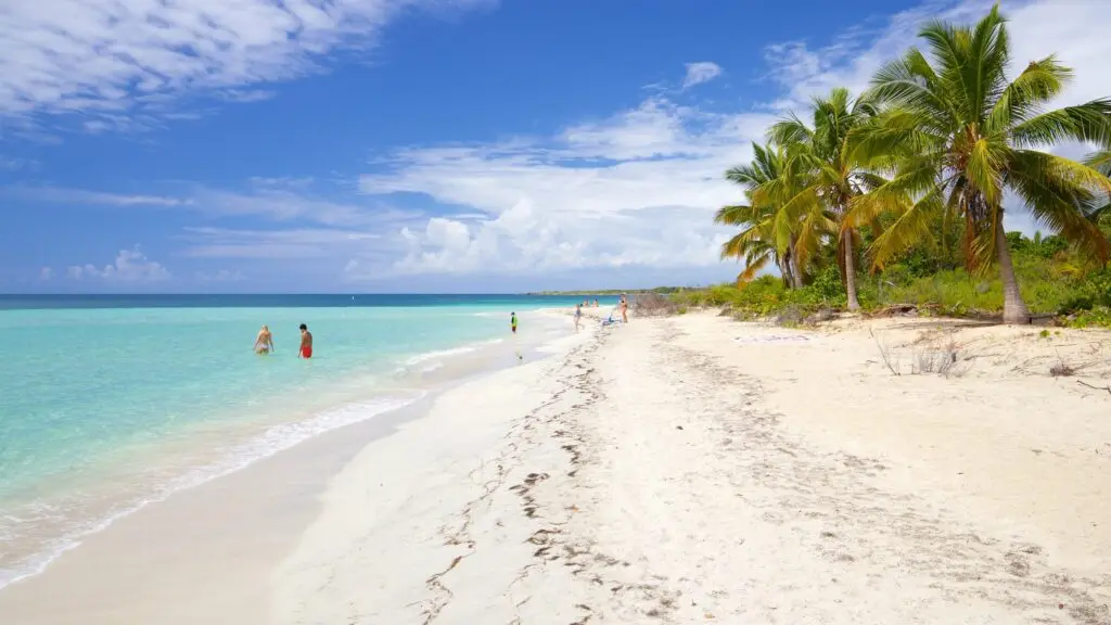 The clear, blue waters of Flamenco Beach are calm and inviting for swimming and wading, complemented by a vast expanse of white sand ideal for sunbathing and leisurely walks.