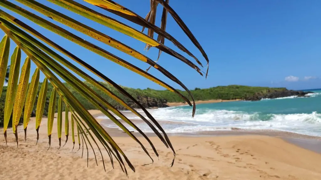 Perfect for travelers seeking relaxation under the warm sun.