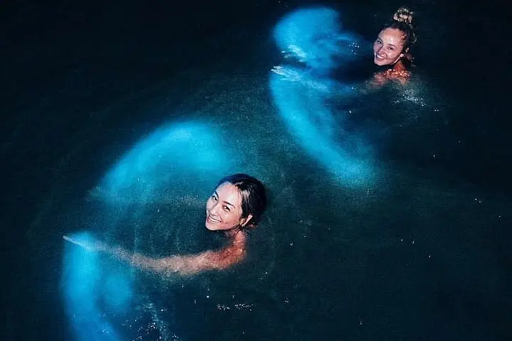 Bahías bioluminiscentes