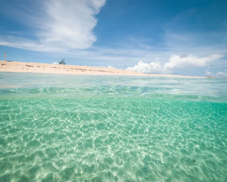 Discover vibrant coral reefs teeming with life in crystal-clear waters, all while surrounded by soft white sand.