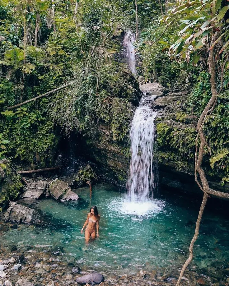 4 DAYS IN PUERTO RICO ENOUGH EL YUNQUE RAINFOREST