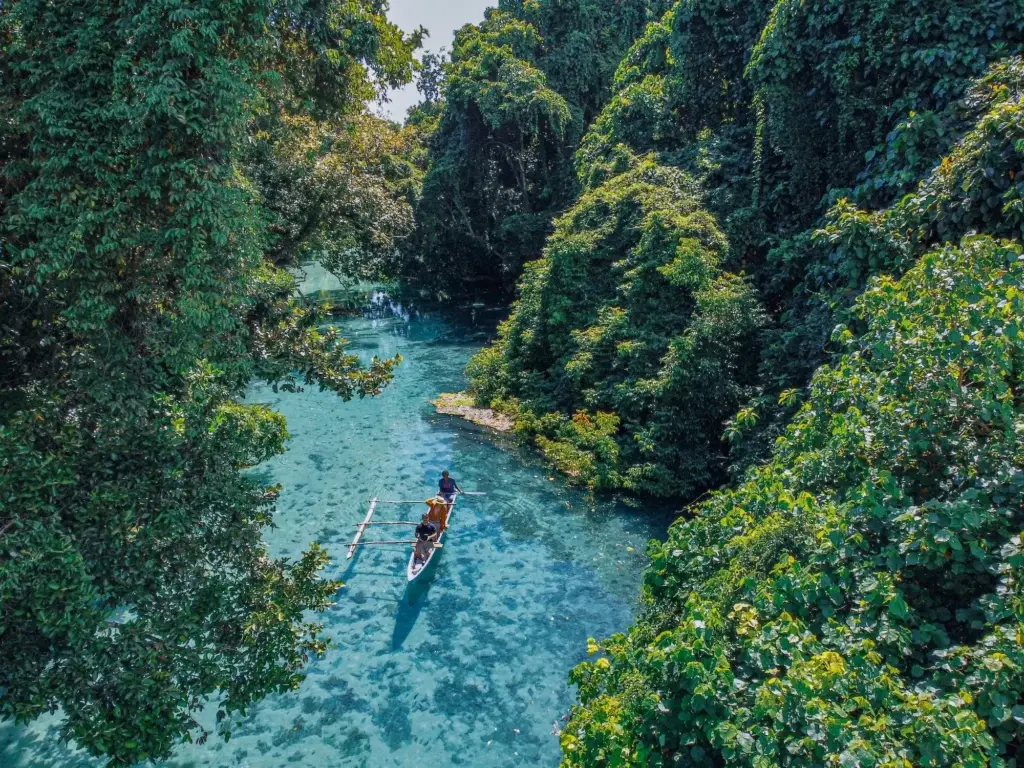 Qué hacer en Río Grande, Puerto Rico