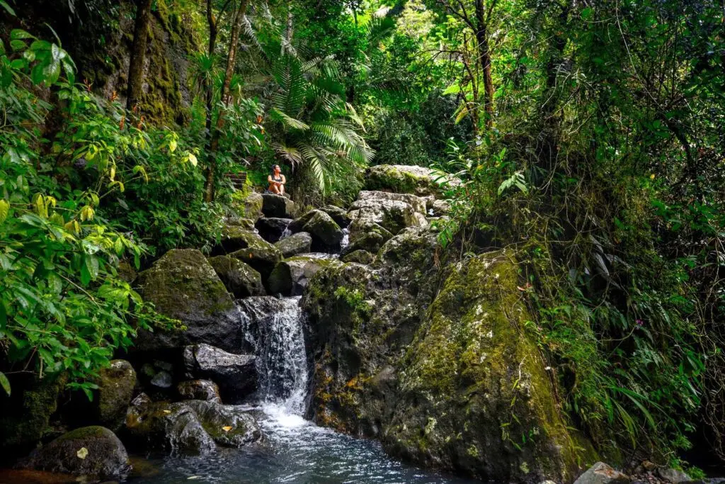 Senderismo en el Bosque Nacional El Yunque de Puerto Rico: tu guía completa