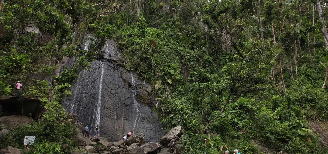Senderismo en el Bosque Nacional El Yunque de Puerto Rico: tu guía completa