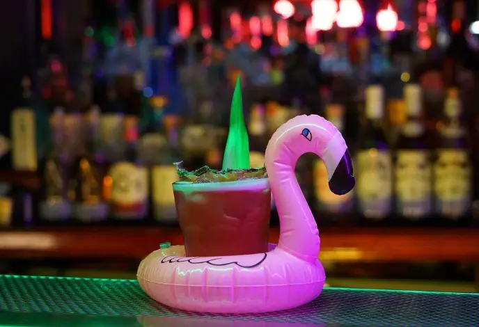 JungleBird