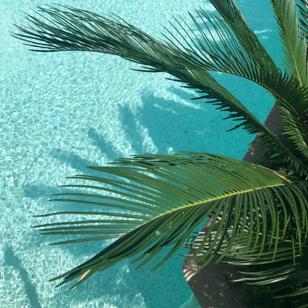 Playa Flamenco: Bask in the pristine beauty of Playa Flamenco