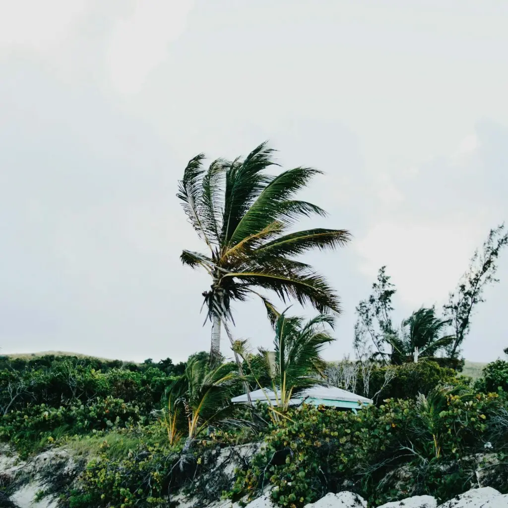 Playa Flamenco - secluded