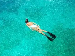 What To Do In Vieques