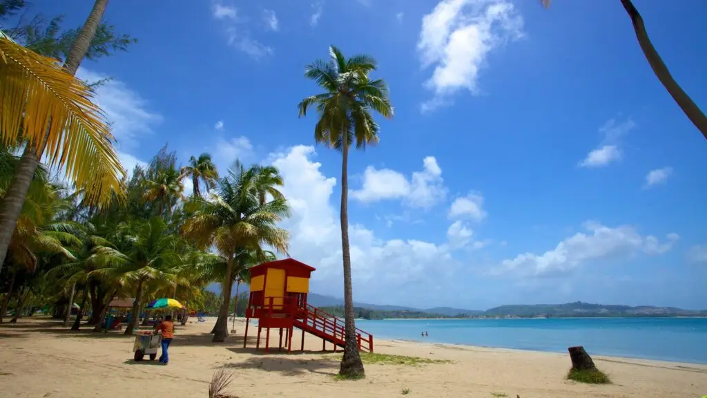 The sky is a serene clear blue with scattered white clouds, promising a sunny day. The water beyond the beach is tranquil and crystal clear, reflecting a deep blue hue. Palm trees are dotted across the sandy expanse, some bending gracefully towards the water, offering shade and evoking a timeless tropical atmosphere.