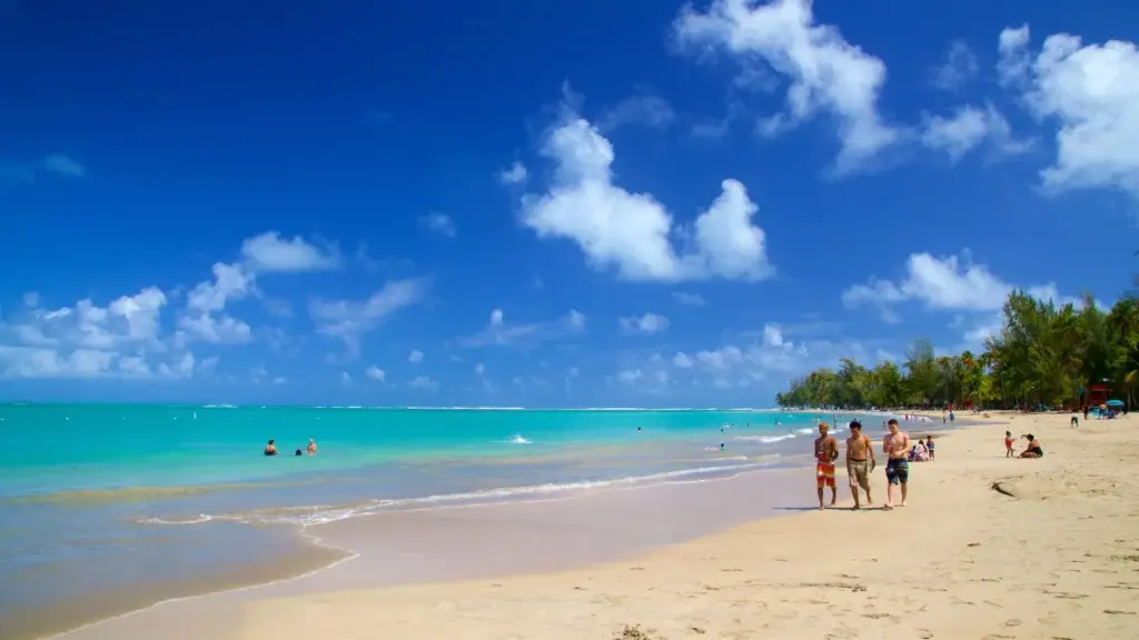 The sky is a serene clear blue with scattered white clouds, promising a sunny day. The water beyond the beach is tranquil and crystal clear, reflecting a deep blue hue. Palm trees are dotted across the sandy expanse, some bending gracefully towards the water, offering shade and evoking a timeless tropical atmosphere.