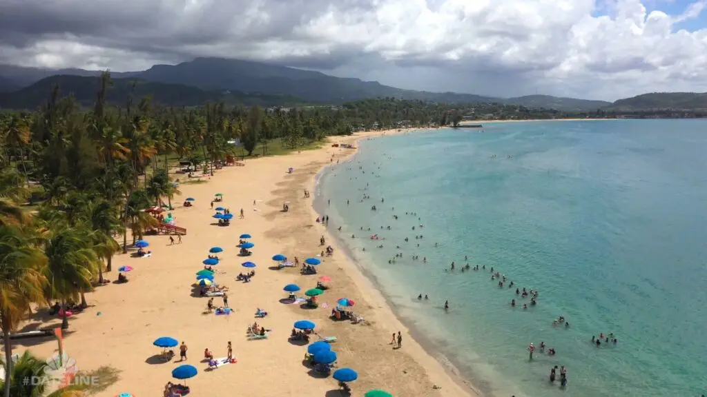 The sky is a serene clear blue with scattered white clouds, promising a sunny day. The water beyond the beach is tranquil and crystal clear, reflecting a deep blue hue. Palm trees are dotted across the sandy expanse, some bending gracefully towards the water, offering shade and evoking a timeless tropical atmosphere.