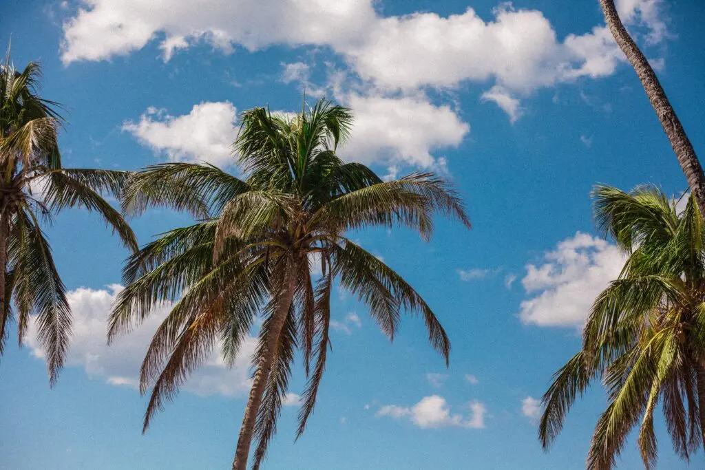 Travel this summer to sunny Puerto Rico and enjoy the beach
